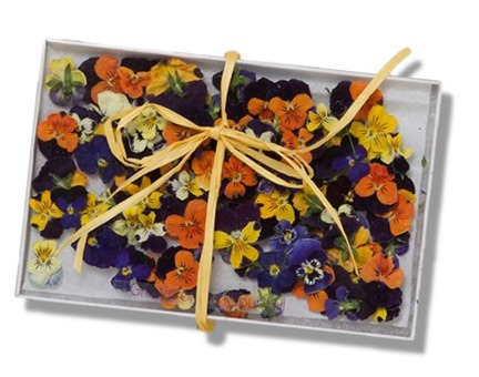 Edible Violas from Terrain