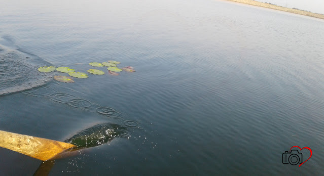 Futiyari Dam ( ফুটিয়ারি ) - Kalabani, Hura, Kashipur, Purulia