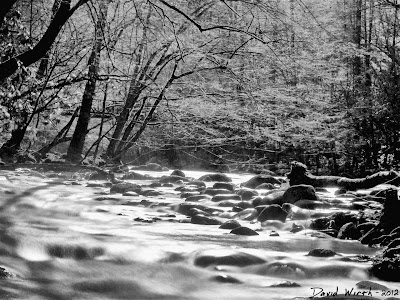 Smokey Mountain National Park, river ND Filter 