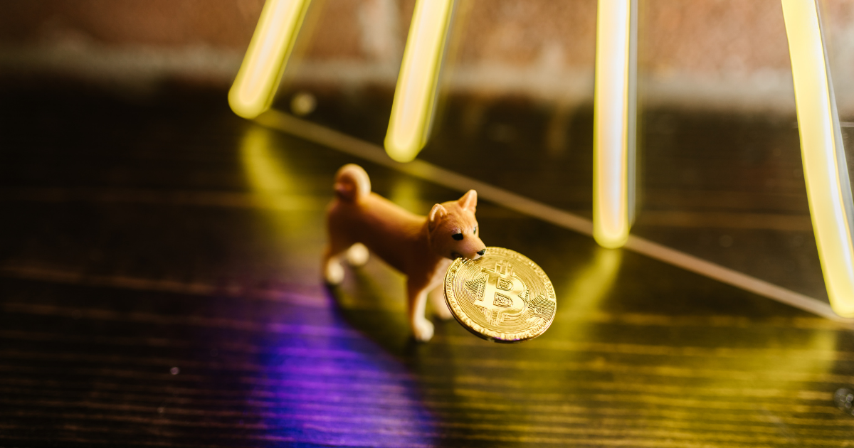 A puppy biting a bitcoin
