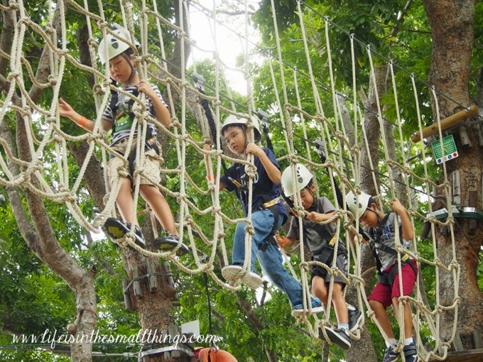 Forest Adventure10