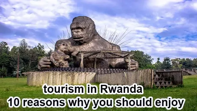 tourism in Rwanda -10 reasons why you should enjoy