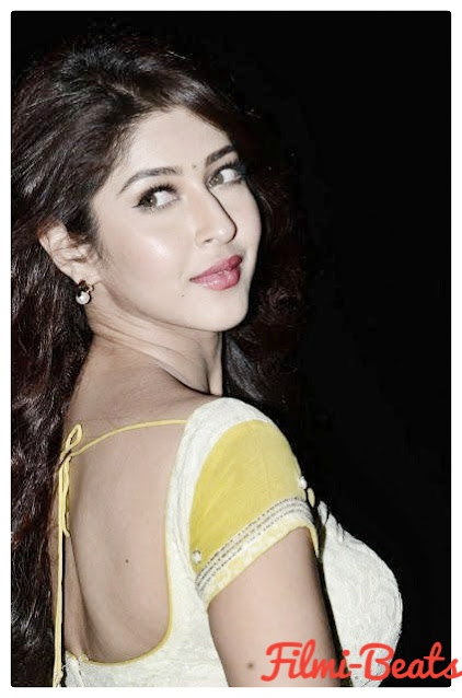 Biography and wallpapers of Sonarika Bhadauria.