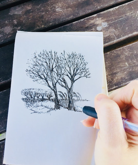 Sketching trees