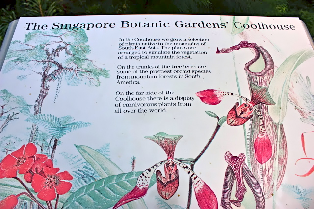 National Orchid Garden at Singapore Botanic Gardens