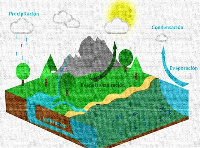 INFILTRACIÓN DENTRO DEL CICLO HIDROLÓGICO