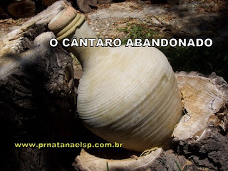 www.prnatanaelsp.com.br