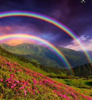  The Rainbow