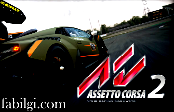 Assetto Corsa Custom Shaders Patch İndir, Kurulum 2024