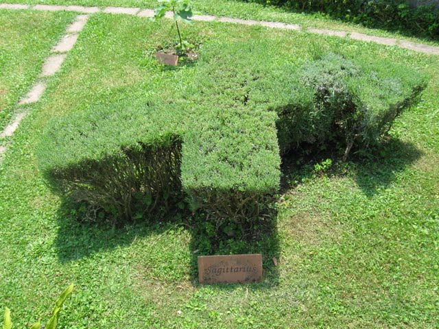 Sagittarius