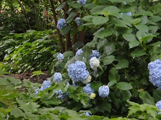 044dev-DSC02351