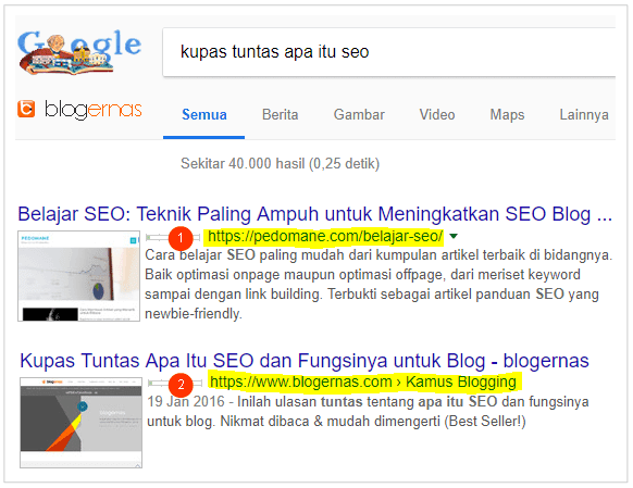 Cara Menentukan WWW dan Non WWW Blog di SERP Google