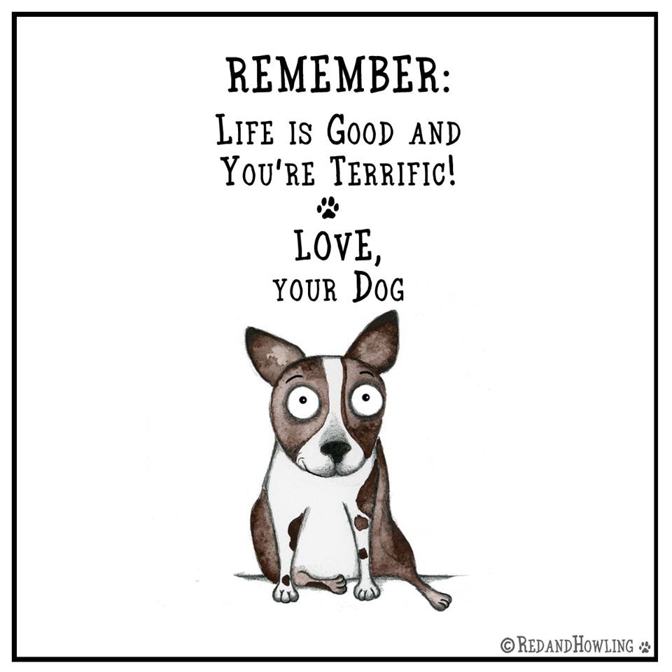 Favourite Dog Quotes