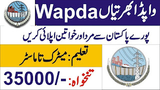 Wapda Hospital Jobs 2023 - Application Form at www.wapda.gov.pk