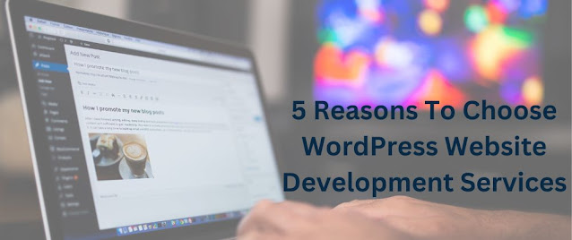 reason-to-choose-wordpress-website-development-services