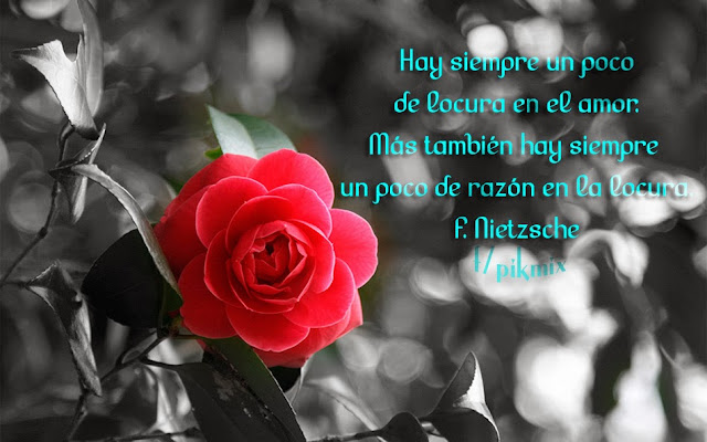 Locura en el amor: F. Nietzsche ● Frases de amor  ● rosas rojas