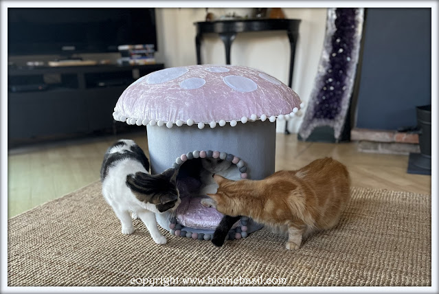 Valentine's Crafting with Cats ©BionicBasil® The Love Shroom with Melvyn, Smooch and Fudge.