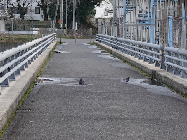 水門橋