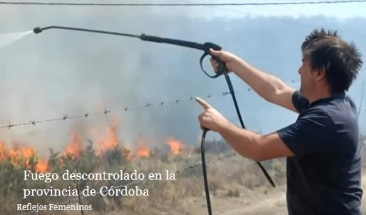 Damián De Santo combate el fuego