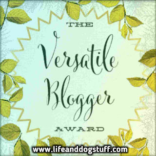 My versatile blogger award