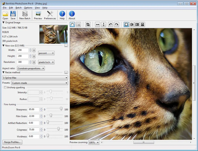 Download Benvista PhotoZoom Pro 6 + Crack