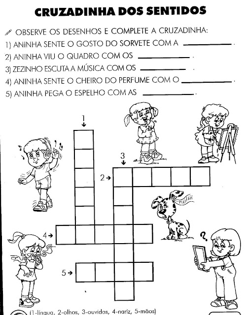 Atividades orgãos do sentido ensino fundamental