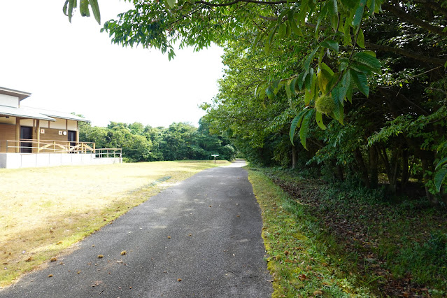 鳥取県西伯郡大山町妻木　鳥取県立むきばんだ史跡公園　休息所の前