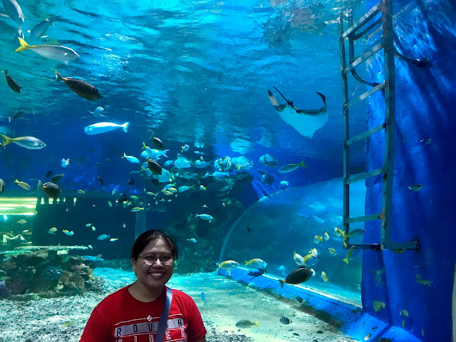 One fun day at Manila Ocean Park, Metro Manila, Philippines