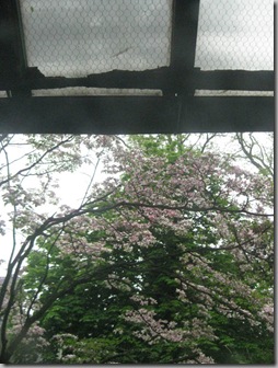 Turnbull House 034