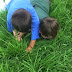 Grass Fight
