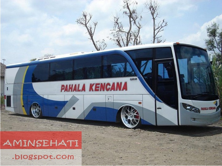 Ide Foto Modifikasi Bus Ceper