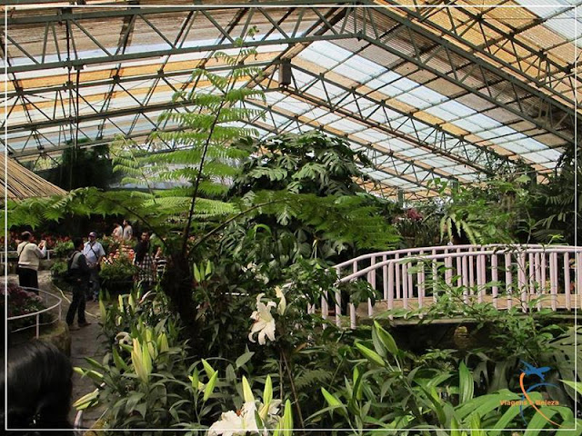 Flower Exhibition Centre, Gangtok, Índia