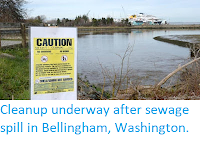 http://sciencythoughts.blogspot.co.uk/2016/02/cleanup-underway-after-sewage-spill-in.html