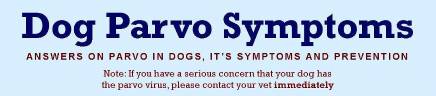 Parvo In Dogs. Dog Parvo Symptoms