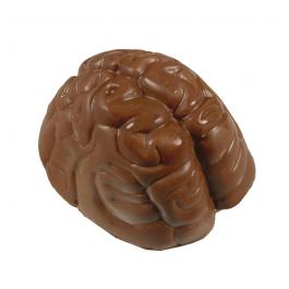 Coklat Berbentuk Otak Manusia