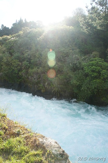 DSC06601