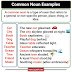 100+ Common Nouns Example in Sentences