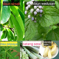 www.dwisangpetani.com