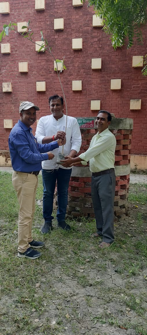 प्रबोधिनी एकादशी पर वृक्षारोपण से जन्मों के पाप होते हैं नष्ट