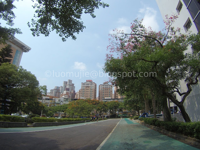 Meteor Garden school - Tamkang University