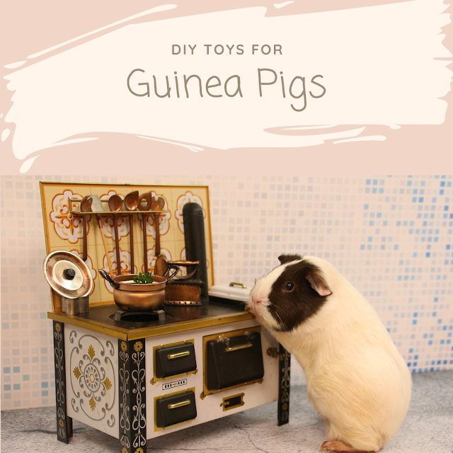 Affordable DIY Guinea Pig Toys: Keep Your Furry Friends Entertained on a Budget
