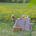 Una mesa campestre entre campos de colza para celebrar el amor