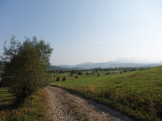 Górska łąka w północnej Rumunii. Miejsce ma klimat