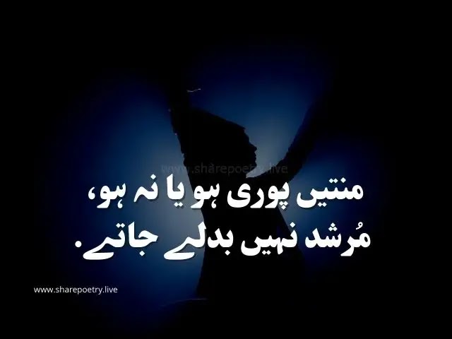 amazing captions in Urdu covers wisdom love and daily life topics