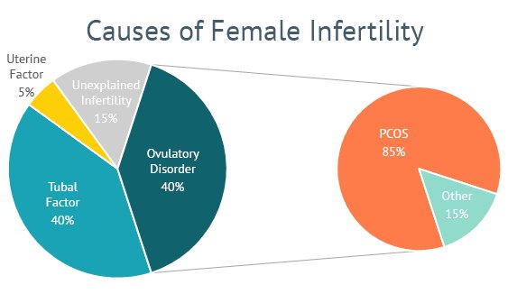 How PCOS Affects Fertility and What You Can Do About It
