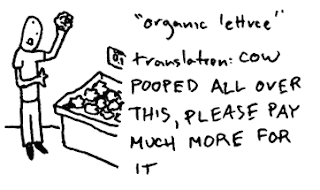 Organic Lettuce