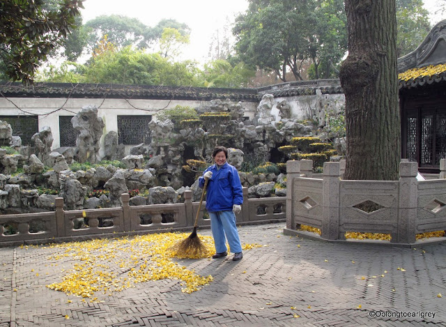 Golden Leaves, Yu Garden, Shanghai, China