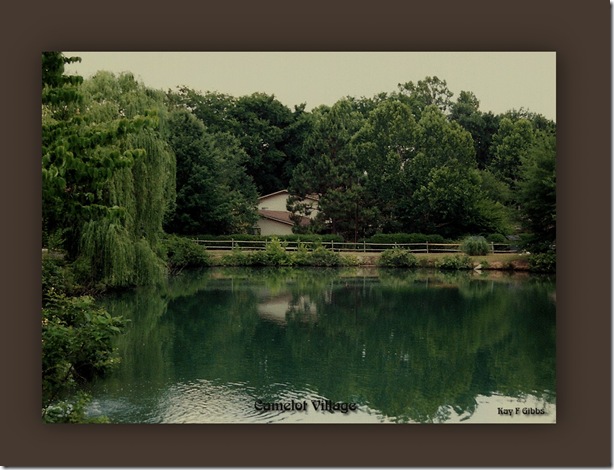 camelot village pond