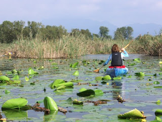 Mony sul lago di Alserio