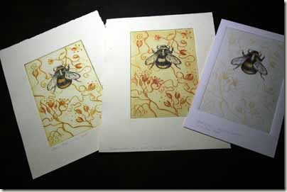 bees and vine